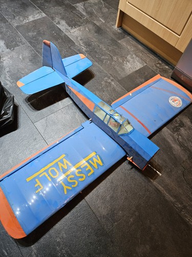 Messy wolf model - wolf, plane