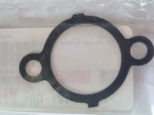 Cam chain tensioner gasket - cam,