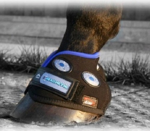 Veredus hour magnetik hoof - 4,