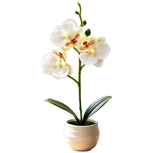 Artificial orchid plant - artificial,