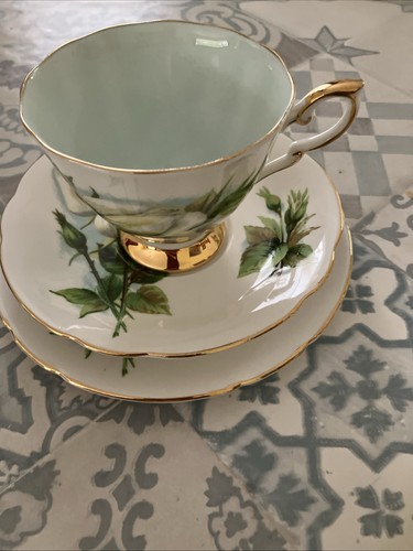 Paragon harry wheatcroft - paragon,