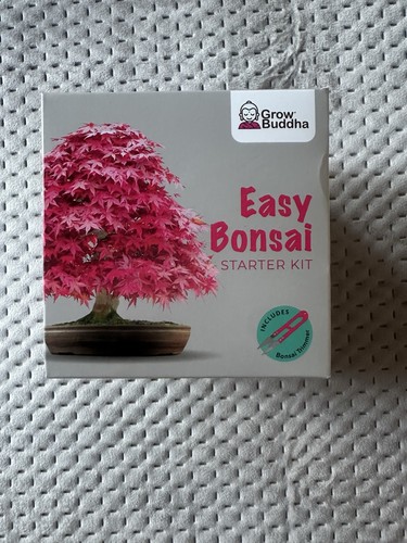 Grow buddha bonsai tree - grow,