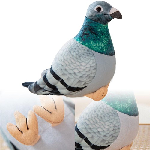 Pigeon bird soft - soft, plush