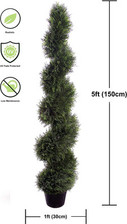 Outdoor Cedar Spiral topiary