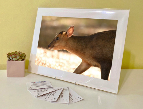 Art print image - art, photo