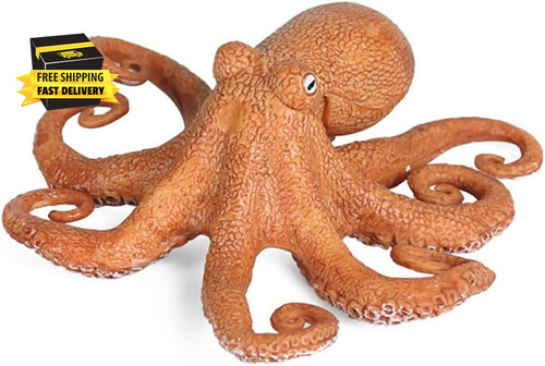 Realistic ocean octopus - realistic,