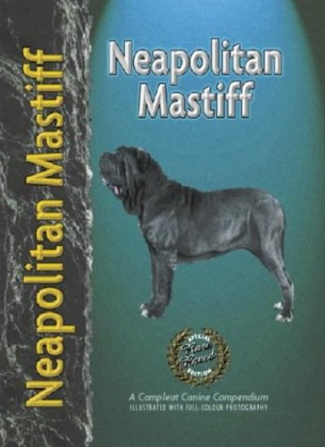 Neapolitan mastiff carol - neapolitan, mastiff,carol