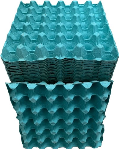Egg trays holds eggs - eggs,