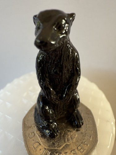 Black dog otter beaver - dog, /