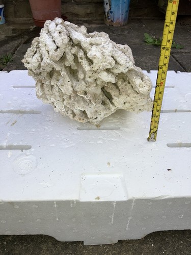 Pl6 dry tonga - tonga, 1.5kg