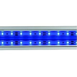 Eheim powerled actinic blue - actinic,