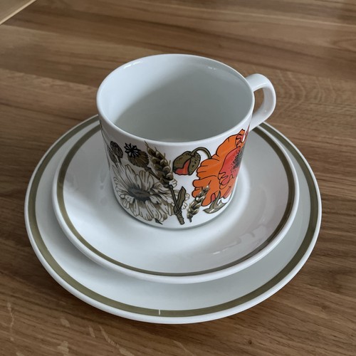 Meakin vintage ironstone - meakin,