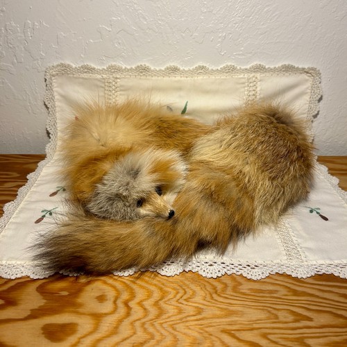 Real red fox pelt fur - pelt,