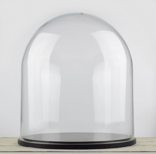 Large glass dome display - large,