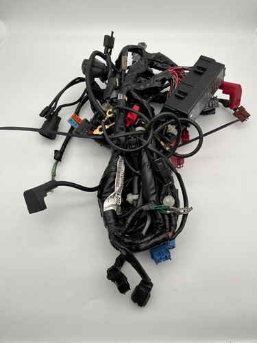 Honda 700 wiring harness - nc,