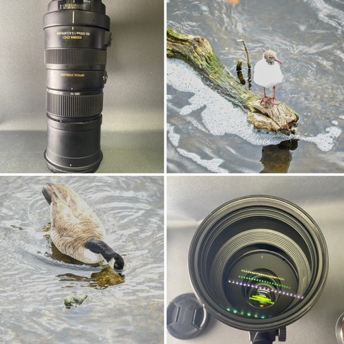 Sigma 737955 apo 150 - sigma, 150-500mm