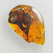 Leaf in Burmese / Burmite