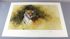 TIGER by David SHEPHERD original large SIGNED limited edition print 77.5x54.5cm