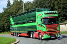 Truck Photo 6x4 Scania Paul Kidd Livestock PK55COW