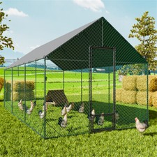 Walk-in Chicken Run Coop