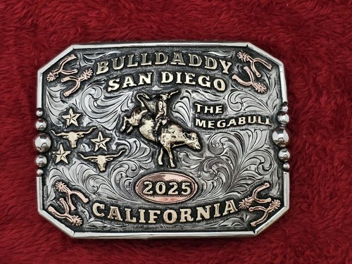 Bull riding 2025 rodeo - bull, riding☆2025☆rodeo