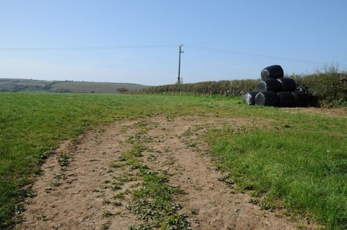 Photo 6x4 silage - photo,