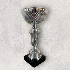 Silver Bowl Cup Trophies 2