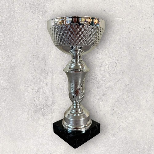 Silver bowl cup trophies - bowl,