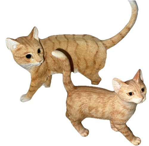 Pair beautiful ginger cat - beautiful,
