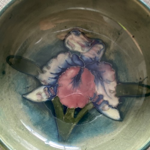 Moorcroft signed small - small, bowl