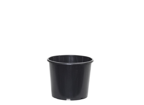 Black plastic plant - black,
