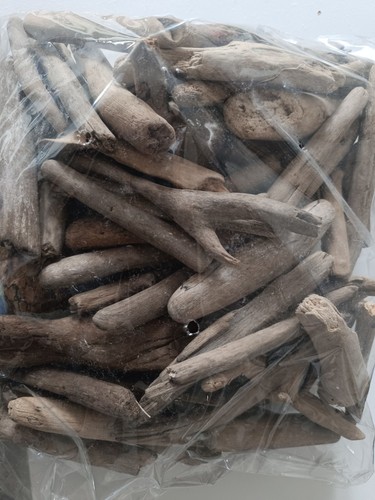 Dried smooth driftwood pieces - dried,