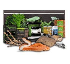 Swell Reptiles Corn Snake