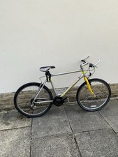 Marin Palisades Trail Mountain