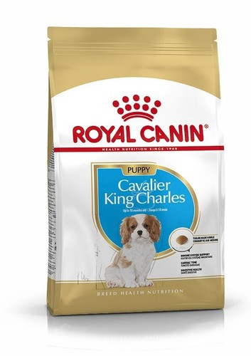 Royal canin cavalier king - canin,