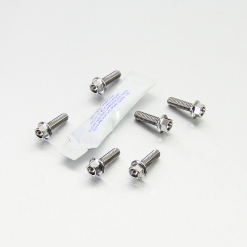 Titanium disc bolts - disc,