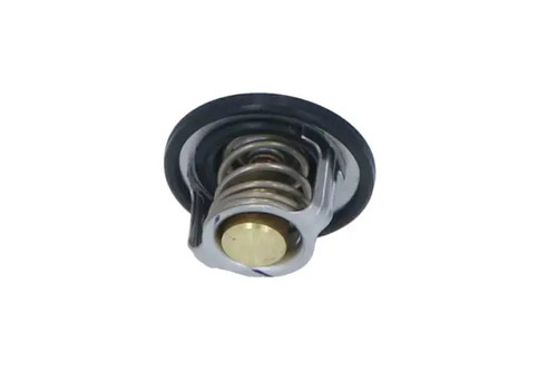 Thermostat without housing