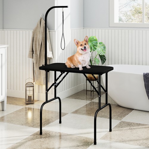 Foldable dog grooming - dog, table