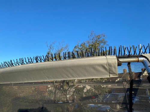 Trampoline bird spikes stop - trampoline,