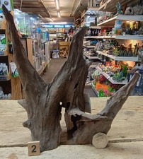 Small/Medium Corbo Root