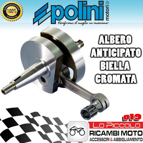 210 0054 polini - 210.0054, early