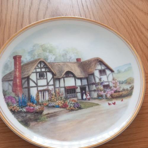 Royal vale bone - royal,