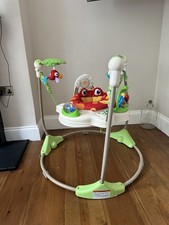 Fisher-Price Jumperoo Baby Activity Center with Lights Sounds and Music