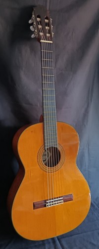 Fernandes model gc20 classical - fernandes,