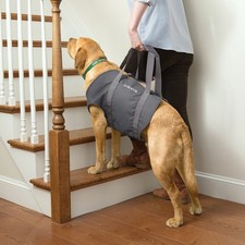 Dog Mobility Aid/Full Body