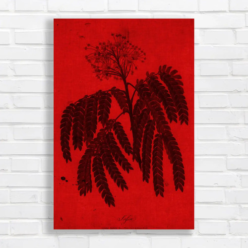 Vintage botanical fern study - botanical,