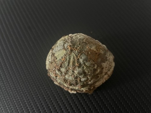 Large natural fossilised - natural,