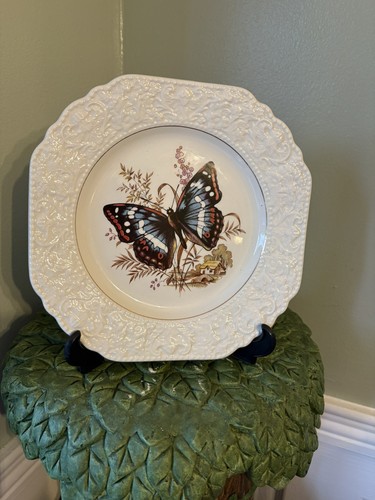 Beautiful lord nelson - lord, pottery
