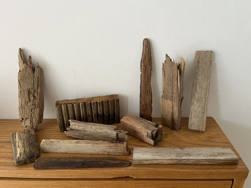 Driftwood pieces sea wood - driftwood,
