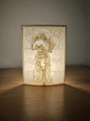 Personalised lithophane light - lithophane,